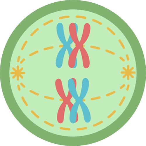 Microscopic view of cells representing the biosphere.