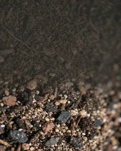 High-quality potting soil mix showing healthy texture and organic matter for indoor gardening.