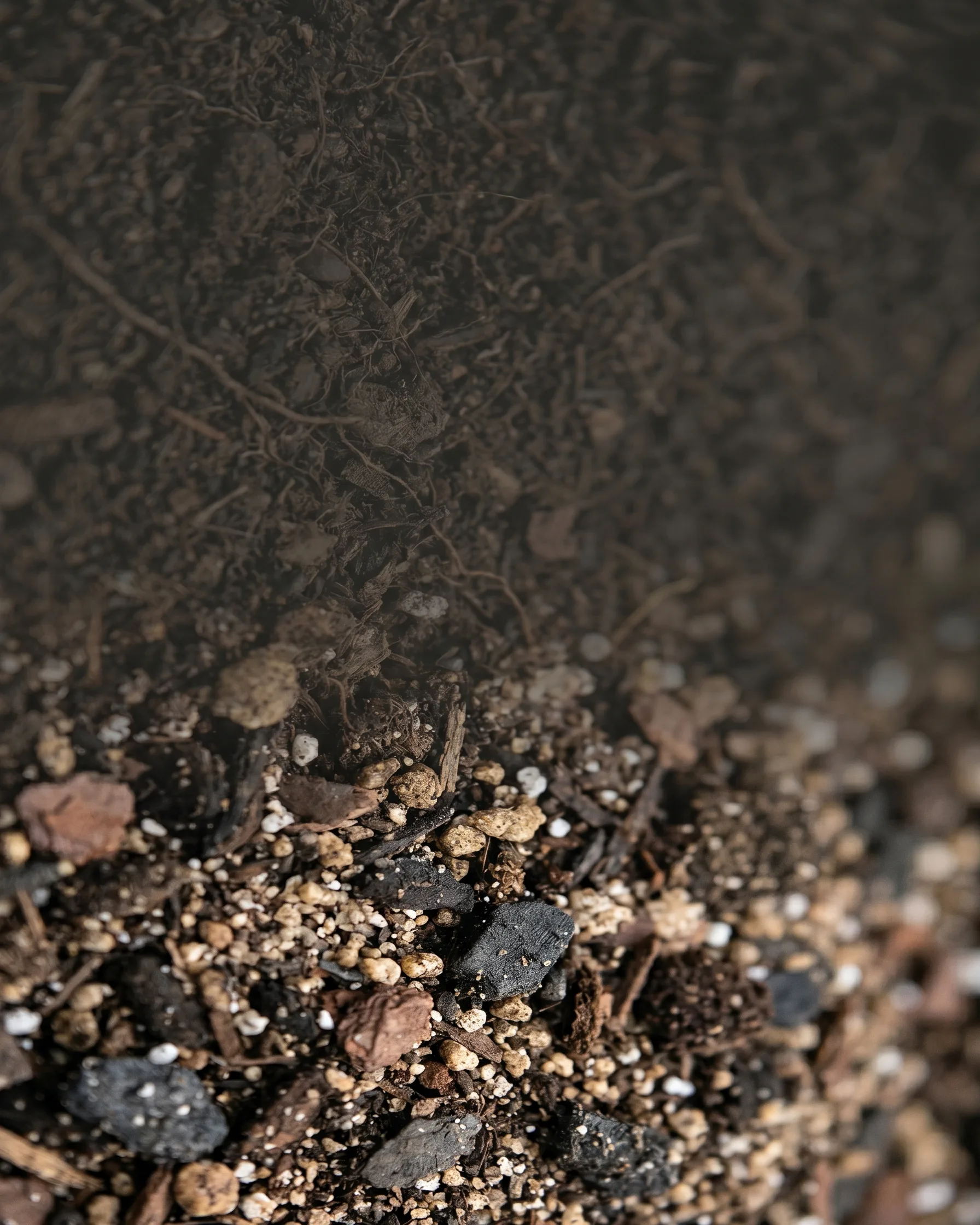 High-quality potting soil mix showing healthy texture and organic matter for indoor gardening.